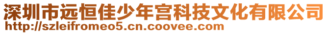深圳市遠恒佳少年宮科技文化有限公司
