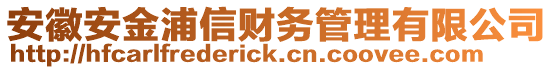 安徽安金浦信財務(wù)管理有限公司
