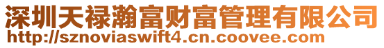 深圳天祿瀚富財富管理有限公司
