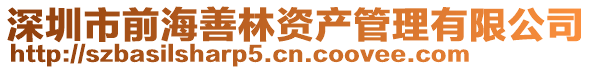深圳市前海善林資產管理有限公司