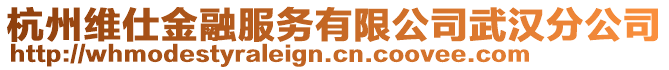 杭州維仕金融服務(wù)有限公司武漢分公司