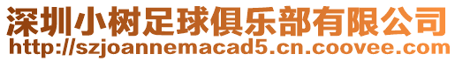 深圳小樹足球俱樂部有限公司