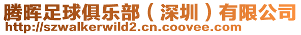 騰暉足球俱樂部(深圳)有限公司