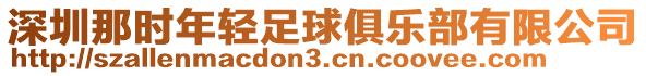 深圳那時年輕足球俱樂部有限公司
