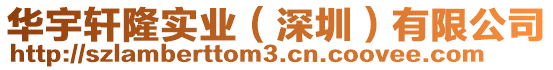 華宇軒隆實業(深圳)有限公司