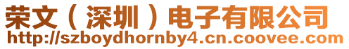榮文(深圳)電子有限公司