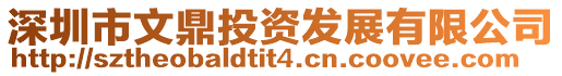 深圳市文鼎投資發展有限公司