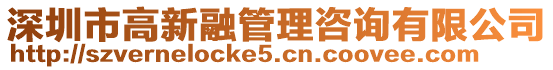 深圳市高新融管理咨詢有限公司
