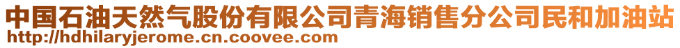 中國石油天然氣股份有限公司青海銷售分公司民和加油站