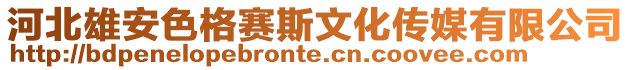 河北雄安色格賽斯文化傳媒有限公司