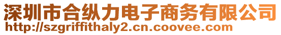 深圳市合縱力電子商務(wù)有限公司