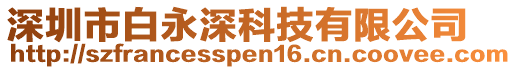 深圳市白永深科技有限公司