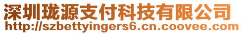 深圳瓏源支付科技有限公司