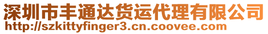 深圳市豐通達貨運代理有限公司