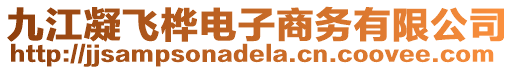 九江凝飛樺電子商務有限公司