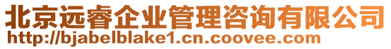 北京遠(yuǎn)睿企業(yè)管理咨詢有限公司