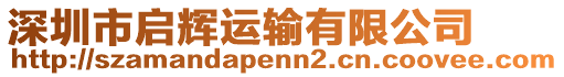 深圳市啟輝運輸有限公司