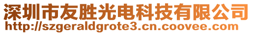 深圳市友勝光電科技有限公司