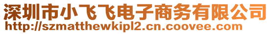 深圳市小飛飛電子商務有限公司