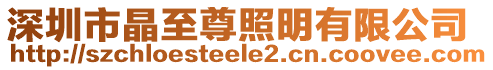 深圳市晶至尊照明有限公司