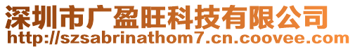 深圳市廣盈旺科技有限公司