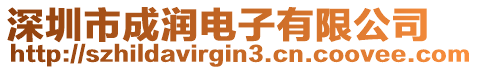 深圳市成潤電子有限公司