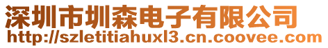 深圳市圳森電子有限公司