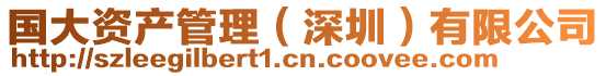 國大資產管理(深圳)有限公司