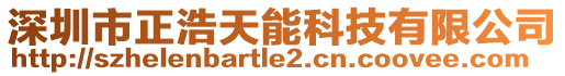 深圳市正浩天能科技有限公司