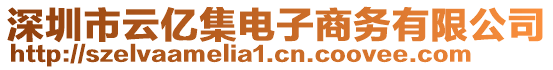 深圳市云億集電子商務有限公司