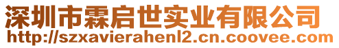 深圳市霖啟世實業有限公司