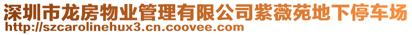深圳市龍房物業(yè)管理有限公司紫薇苑地下停車場