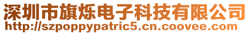深圳市旗爍電子科技有限公司