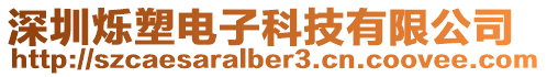 深圳爍塑電子科技有限公司