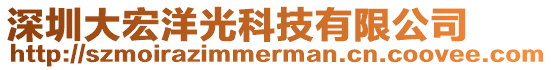 深圳大宏洋光科技有限公司