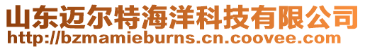 山東邁爾特海洋科技有限公司