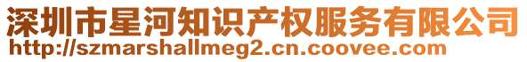 深圳市星河知識產權服務有限公司