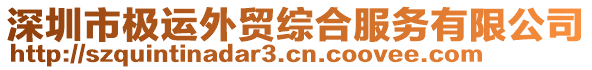 深圳市極運外貿綜合服務有限公司