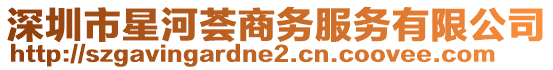 深圳市星河薈商務服務有限公司