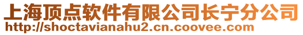 上海頂點軟件有限公司長寧分公司