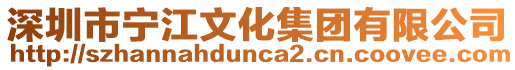 深圳市寧江文化集團有限公司