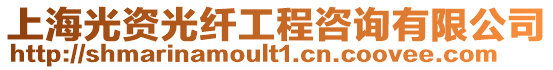 上海光資光纖工程咨詢有限公司