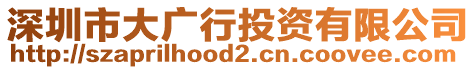 深圳市大廣行投資有限公司