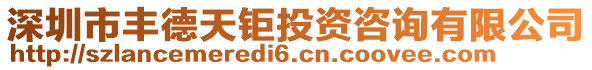 深圳市豐德天鉅投資咨詢有限公司