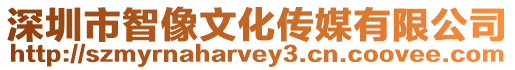 深圳市智像文化傳媒有限公司