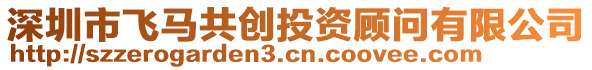 深圳市飛馬共創投資顧問有限公司