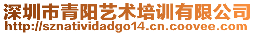 深圳市青陽藝術培訓有限公司