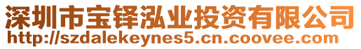 深圳市寶鐸泓業投資有限公司