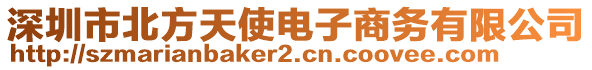 深圳市北方天使電子商務(wù)有限公司