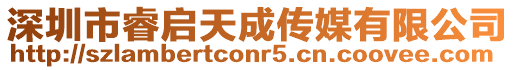 深圳市睿啟天成傳媒有限公司